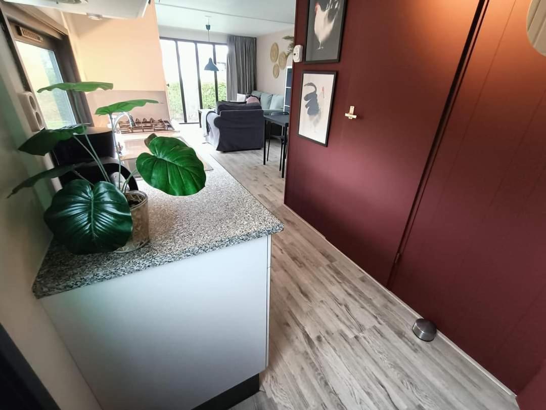Do'S Chalets Baarland Экстерьер фото